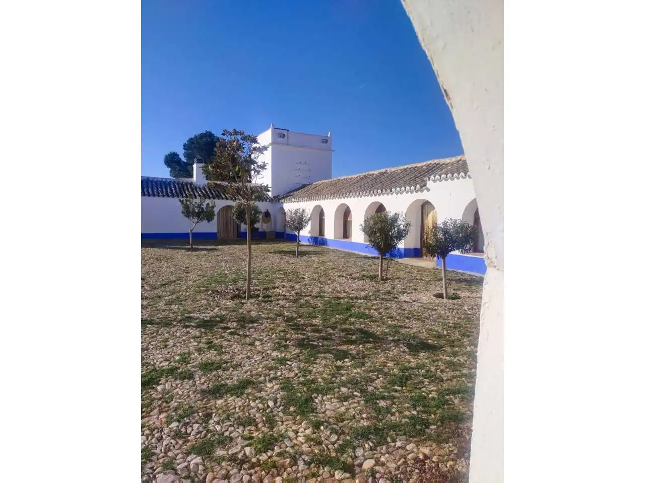 Terreny rústic en venda a Callejon alcázar de san juan, imagen 20