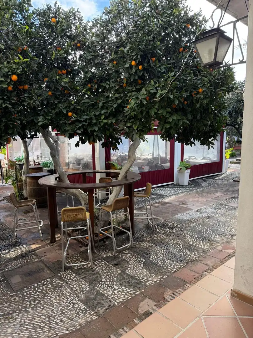 Local commercial à vendre à Urbanizacion Urbanización Pueblo Andaluz, imagen 18