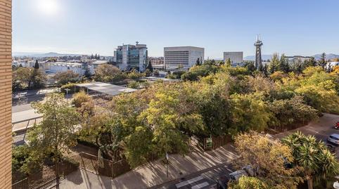 Foto 3 de Piso de alquiler en Calle Escultor Lopez Azaustre, Barrio de Zaidín, Granada