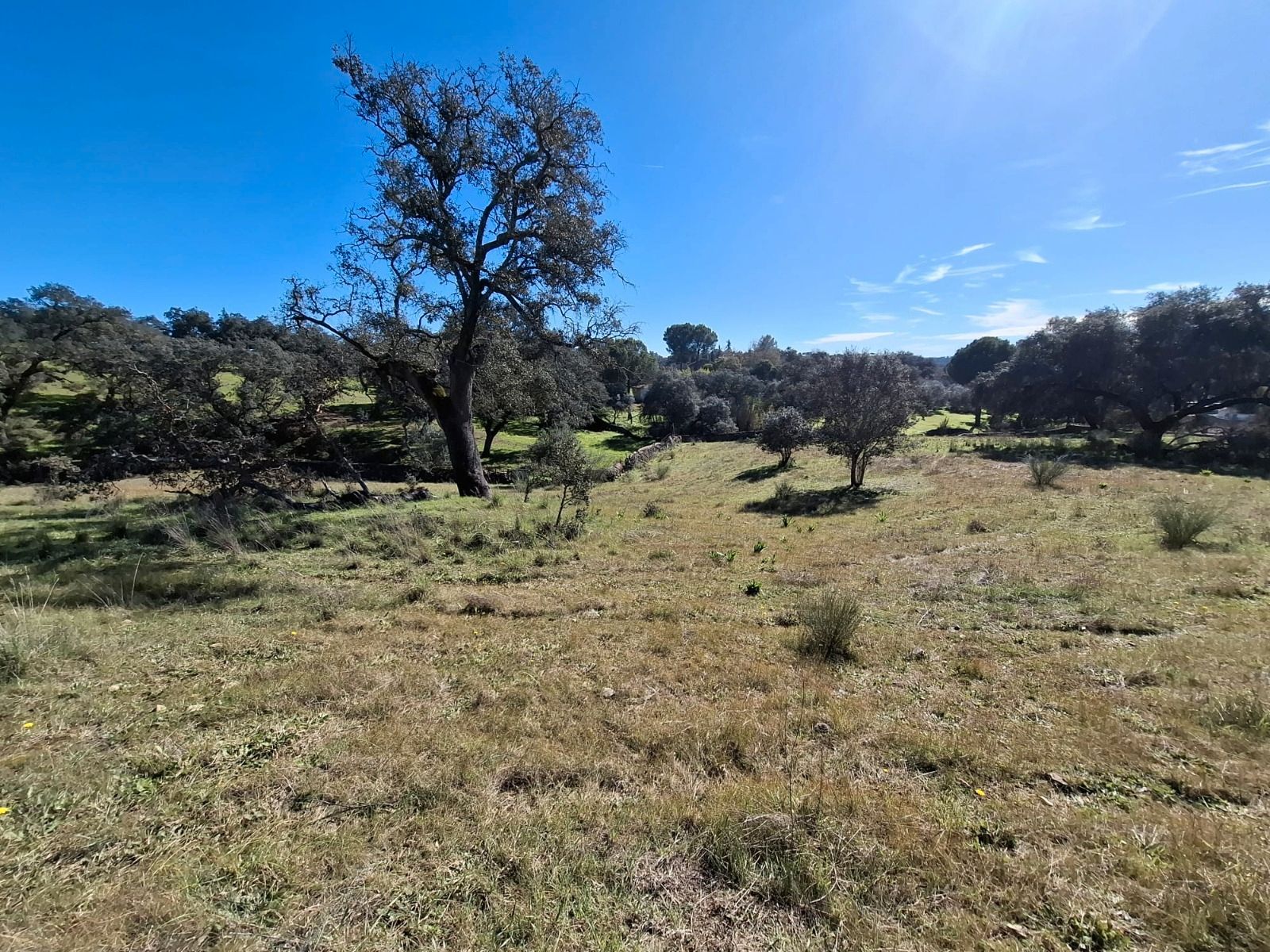 Residencial en venda en El Castillo de las Guardas