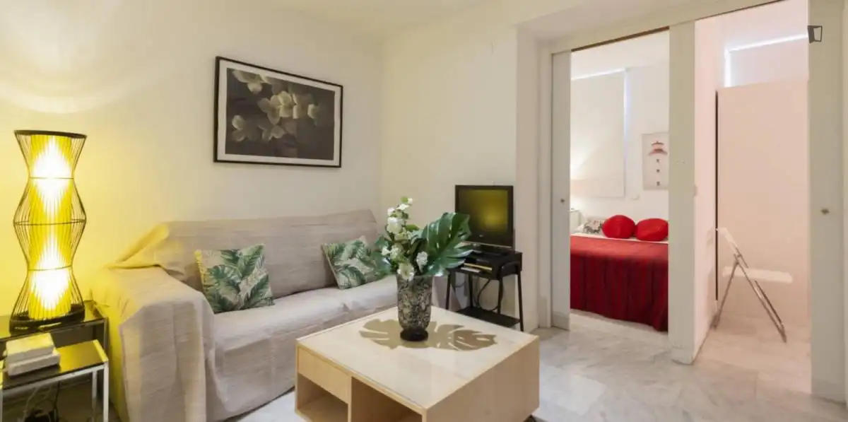 Apartments for rent in Puerta del Ángel