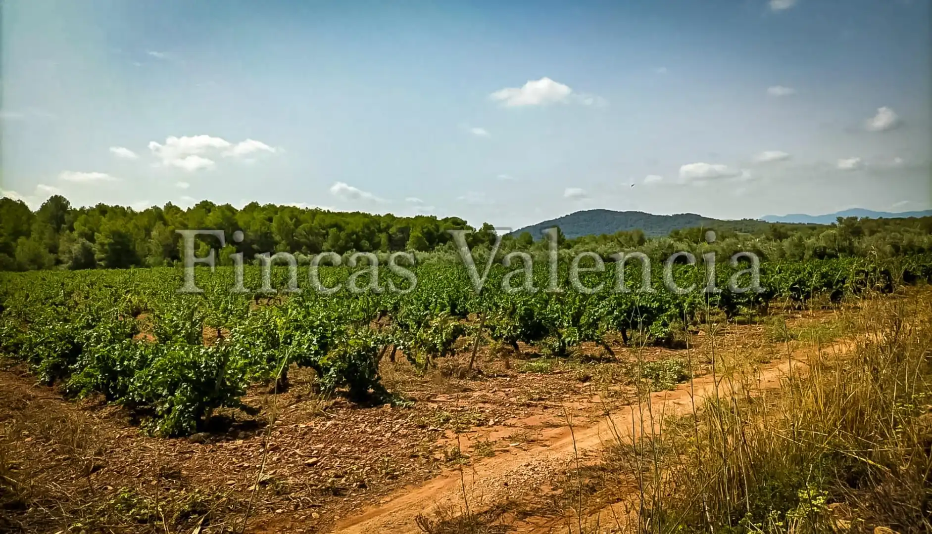 Country homes for sale in Calle SONEJA, Azuébar