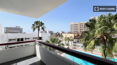 Photo 3 of Study to share in Playa del Inglés, Las Palmas