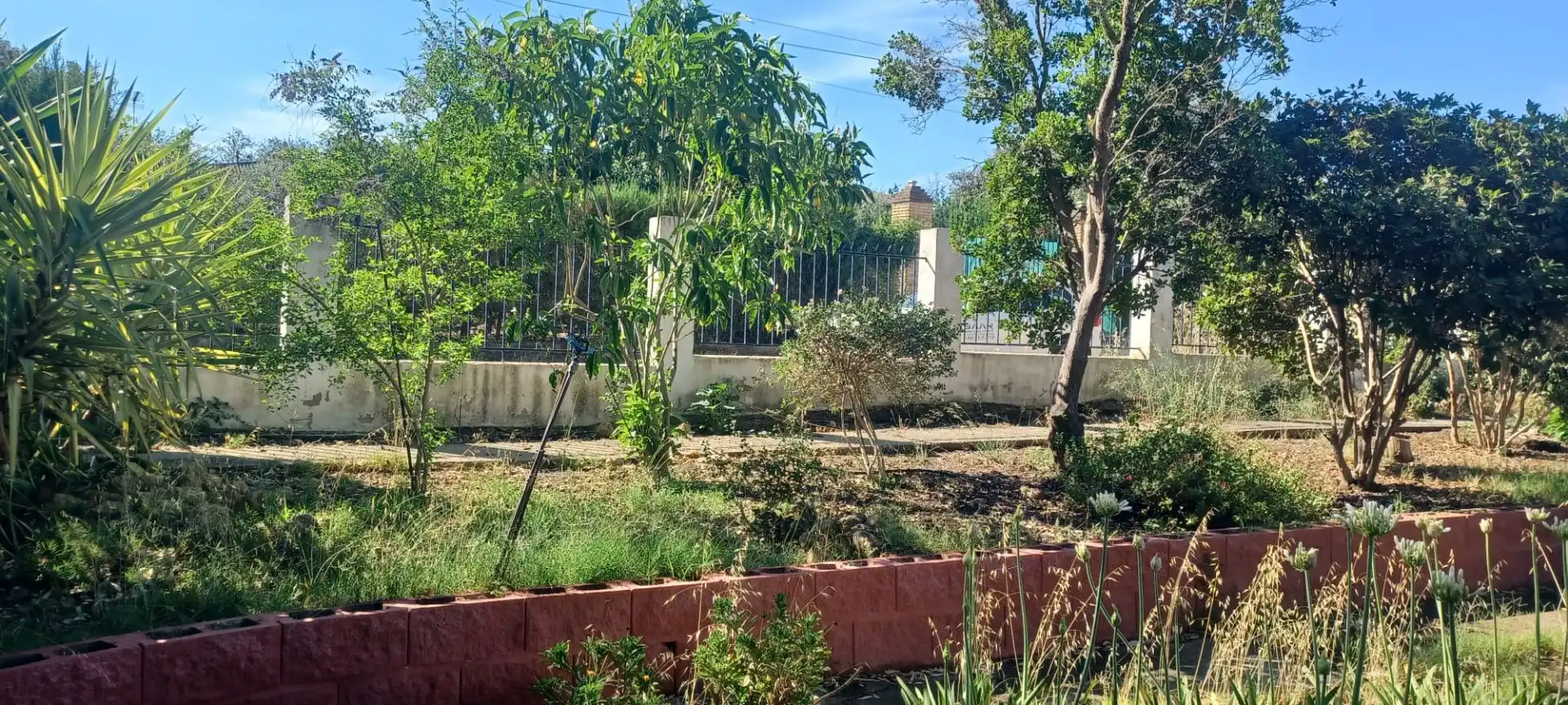 Casa o chalet en venta en Castilblanco de los Arroyos con Aire acondicionado, Jardín privado y Terraza