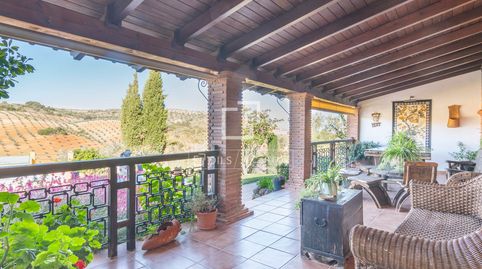Espectacular cortijo de 4 dormitorios de estilo andaluz en venta a 20 minutos de Villanueva del Rosario, imagen 4