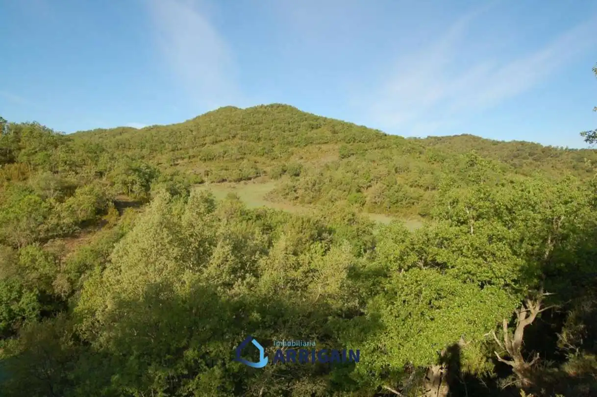 Casa o chalet en venta en La Moraleja con Jardín privado