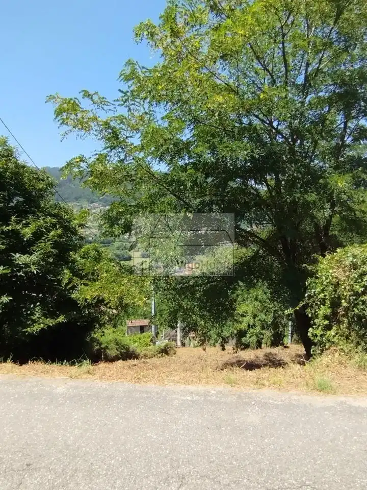 Terreny rústic en venda a LUGAR OS VALOS . SAN ROMAN DE SAXAMONDE, imagen 24