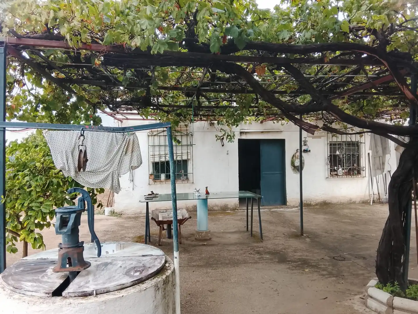 Jardí de Finca rústica en venda en Córdoba amb Aire condicionat, Calefacció i Jardí privat
