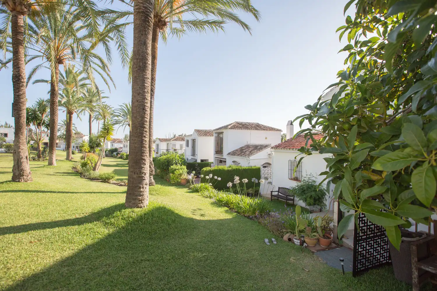 Ground floor for rent in Bello Horizonte - Lindasol