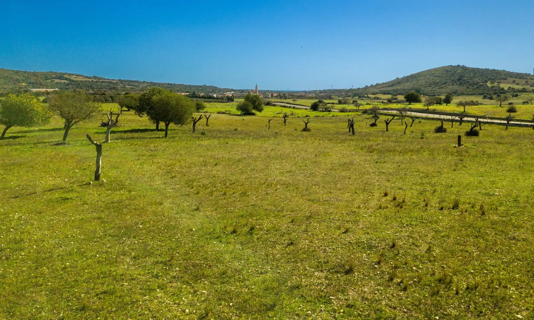 Rural land for sale in Sant Llorenç des Cardassar, imagen 7