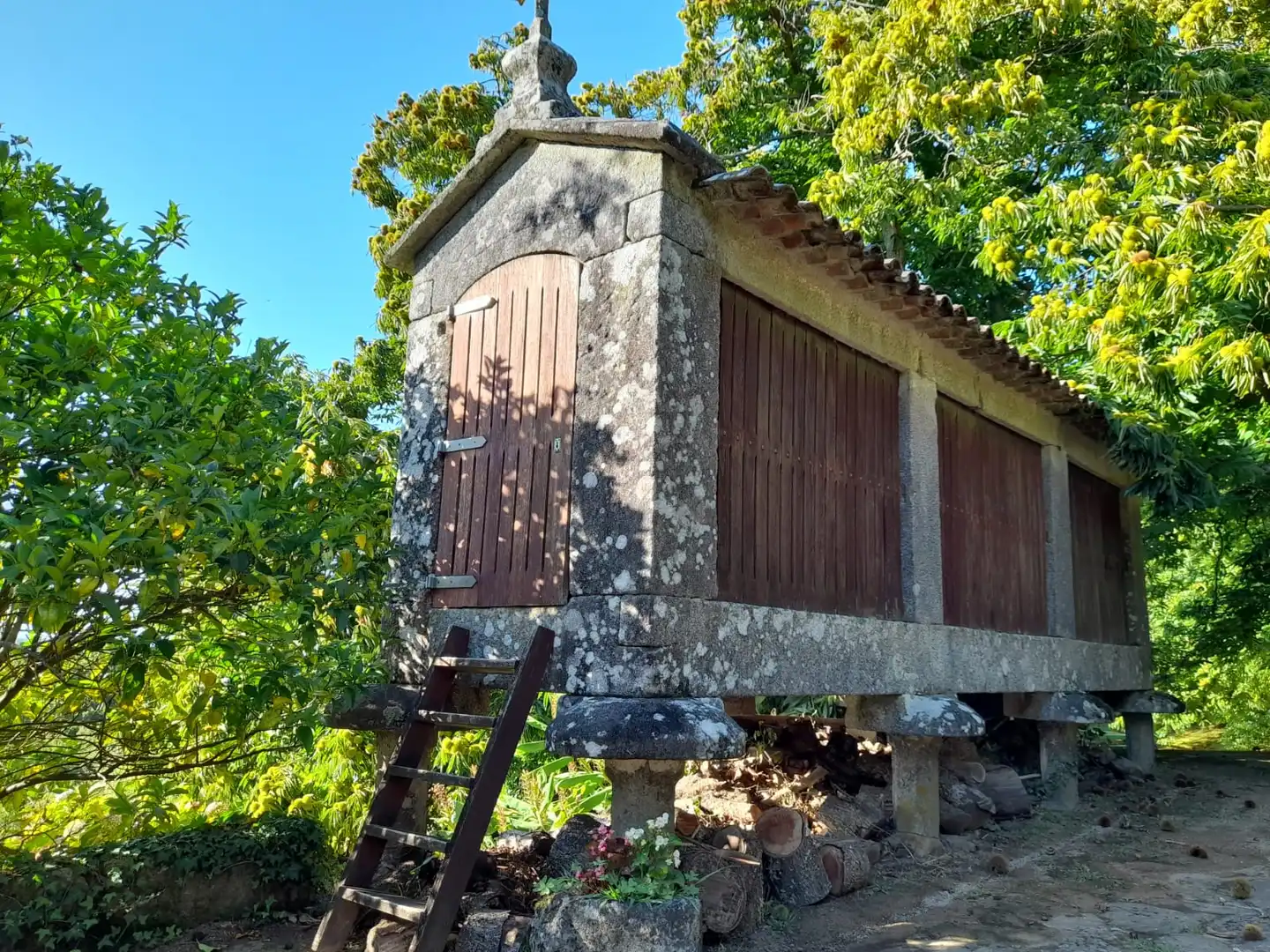 Casa amb piscina en venda a Guntín 1, imagen 10