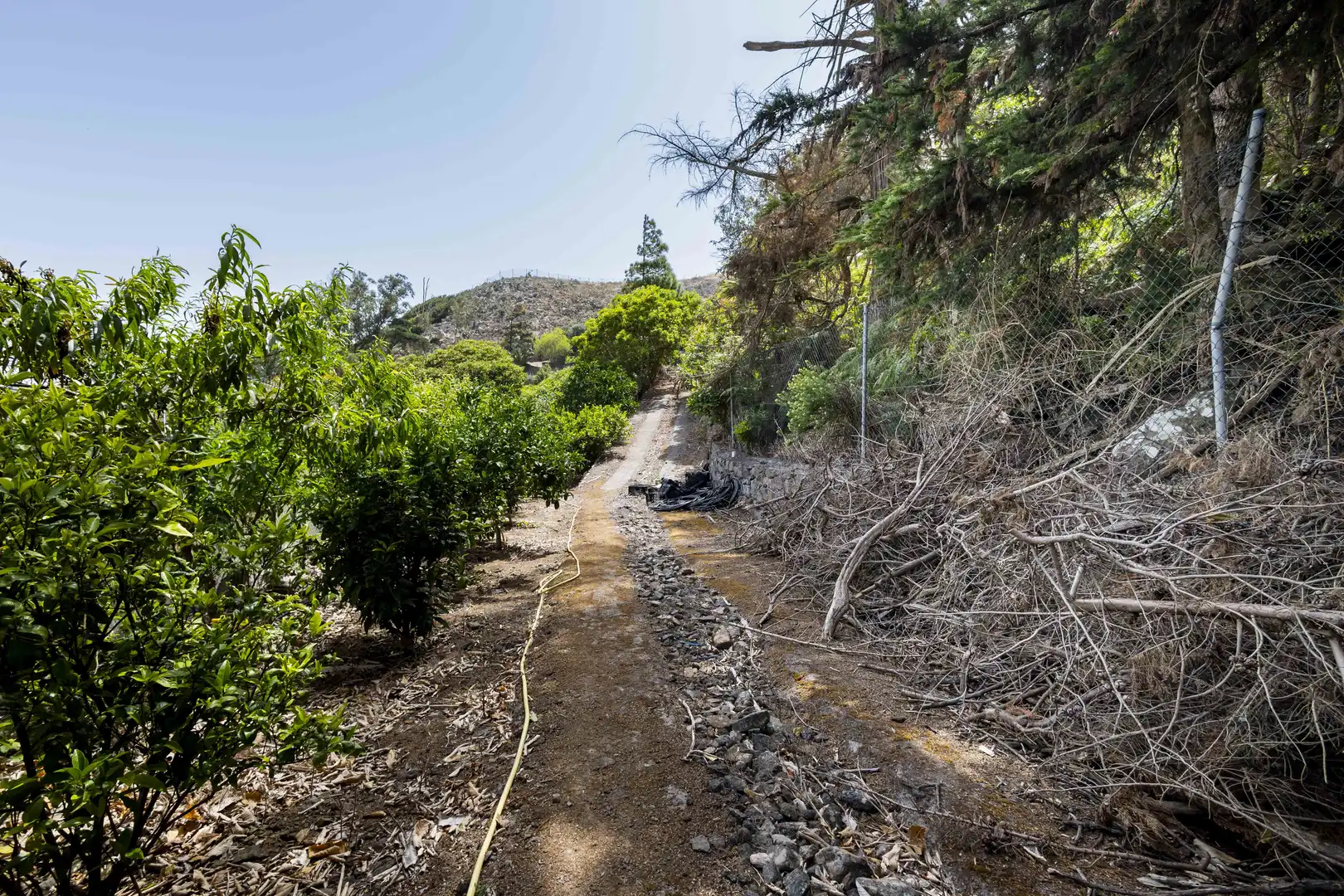Rural land for sale in Tegueste, imagen 25