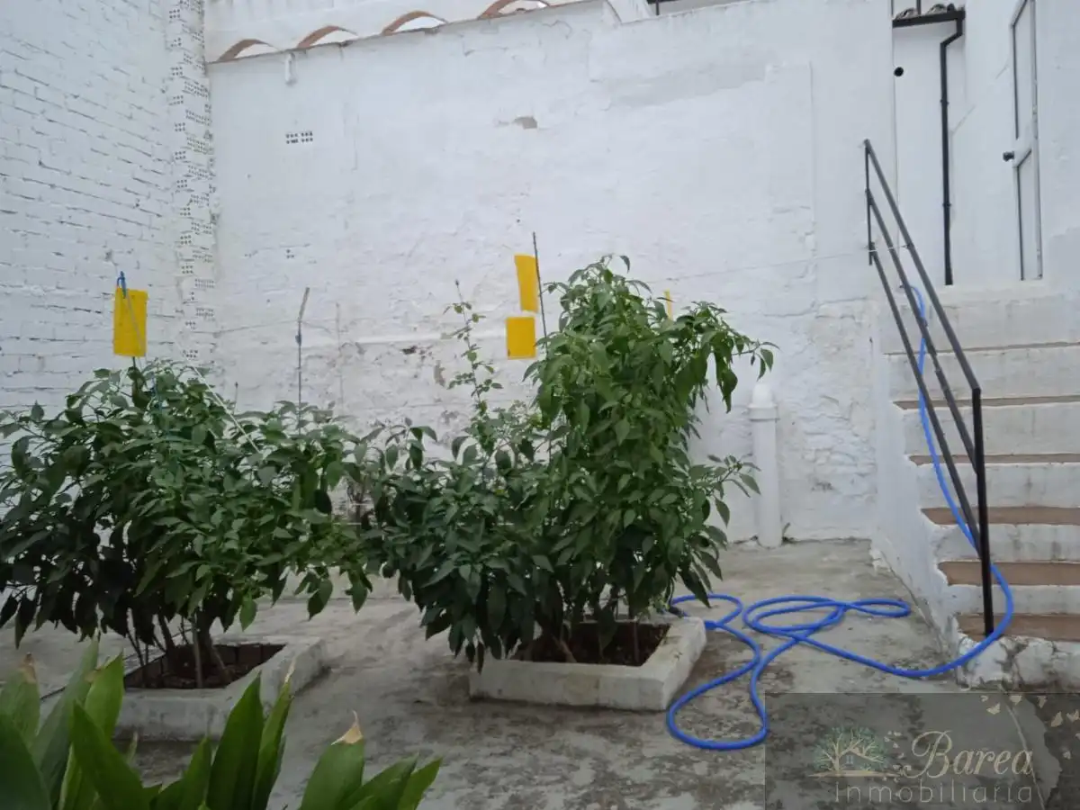 Maison mitoyenne à vendre à Rute, imagen 5
