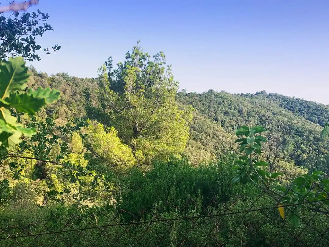 Chalet en venta en Via Augusta 74, imagen 22