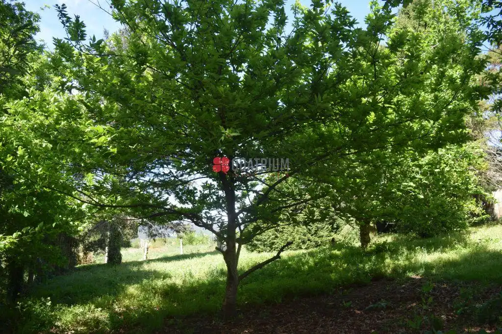 Casa o xalet en venda en Santiago de Compostela  amb Jardí privat