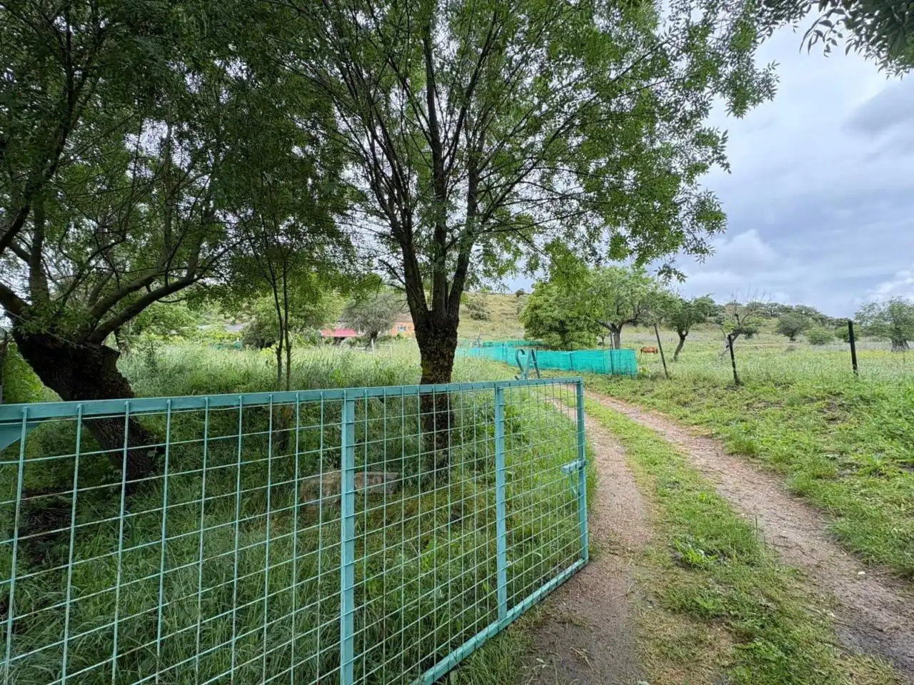 Grundstücke zum Verkauf in Ciudad Rodrigo