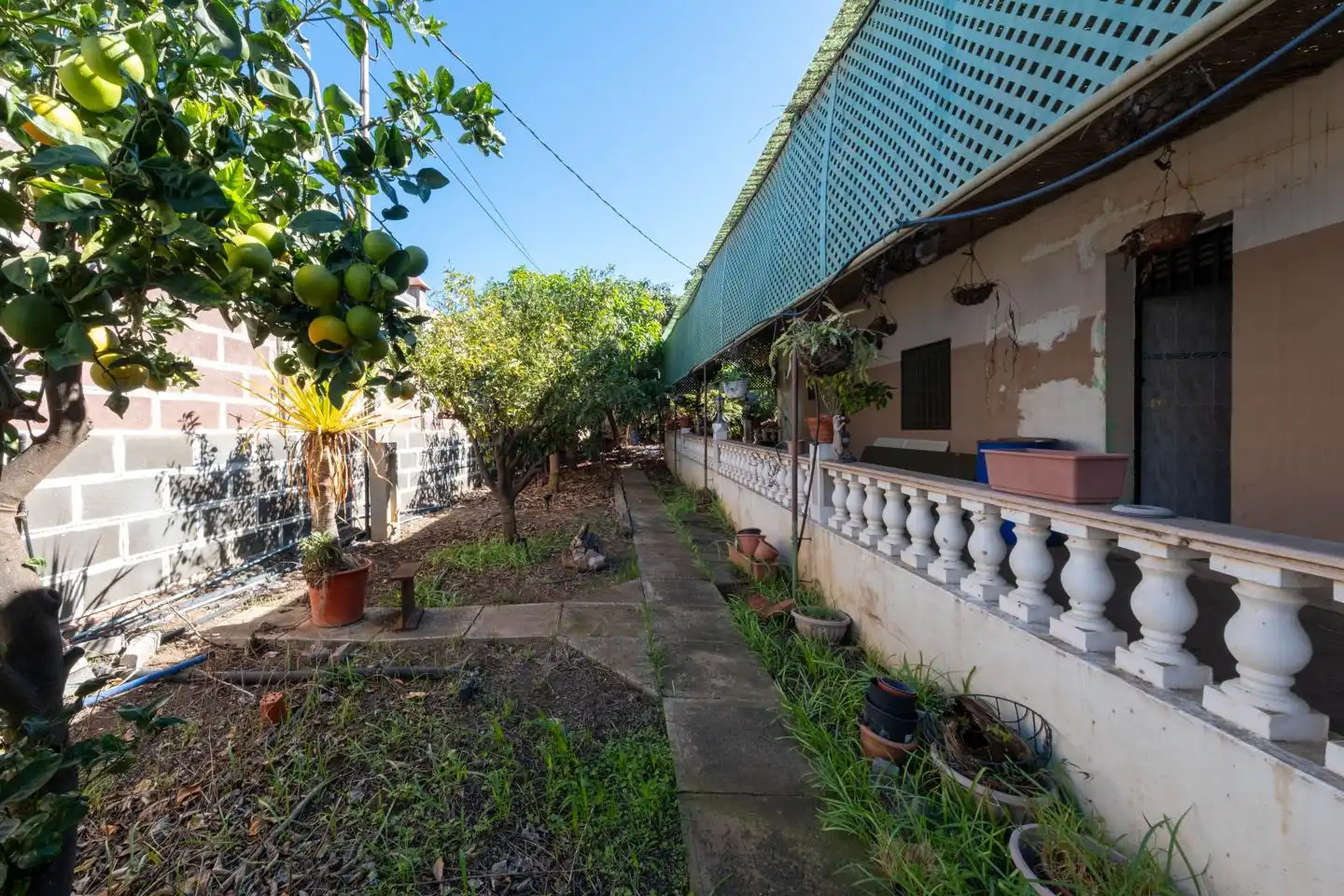 Garden of Country homes for sale in Gáldar