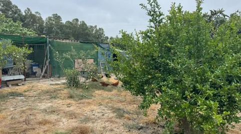 Foto 3 de Finca rústica en venta en El Rocío - La Milagrosa, Jerez de la Frontera