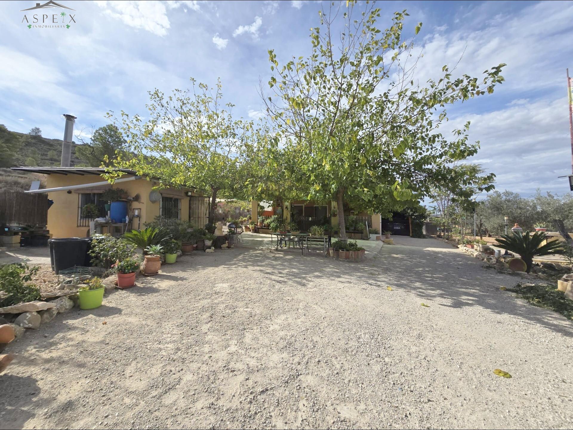 Exterior view of House or chalet for sale in Hondón de los Frailes  with Terrace and Storage room