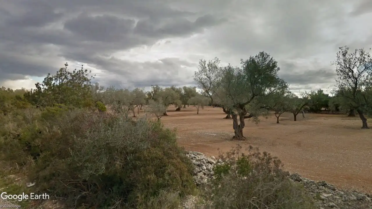 Terreny rústic en venda a San Rafael del Río