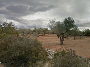 Terreno rustico in vendita a San Rafael del Río