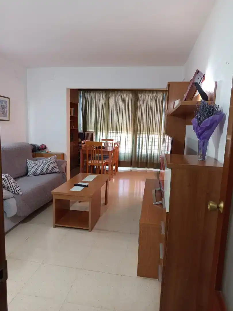 Living room of Apartments for rent in Juzgados - Plaza de Toros