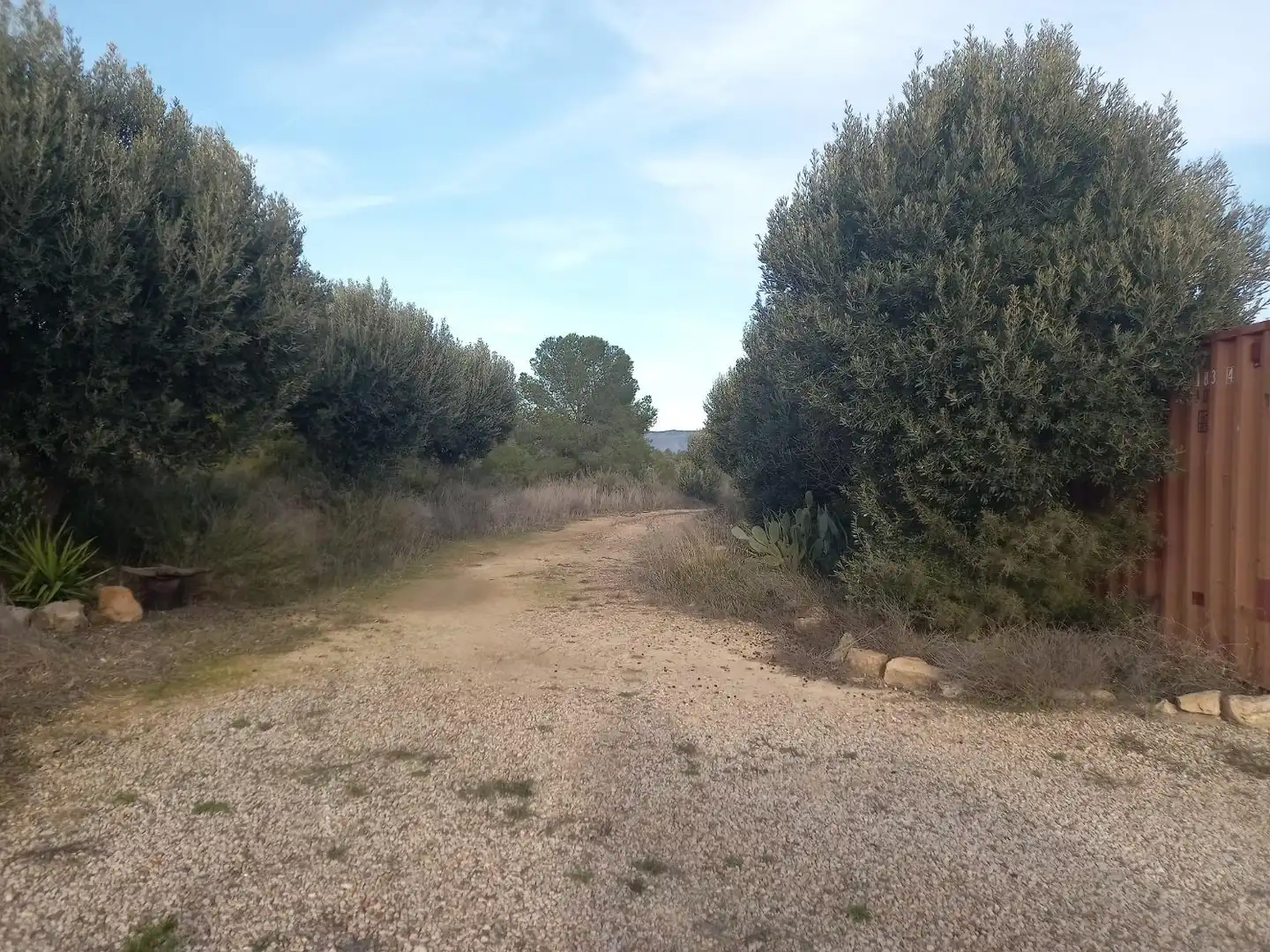 Grundstücke zum Verkauf in Riba-roja d'Ebre