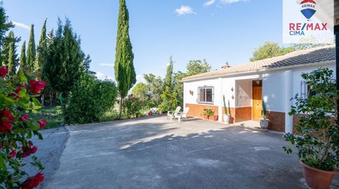 OPORTUNIDAD ÚNICA EN BAZA! Finca Exclusiva con Casa y Cueva Tradicional, imagen 3