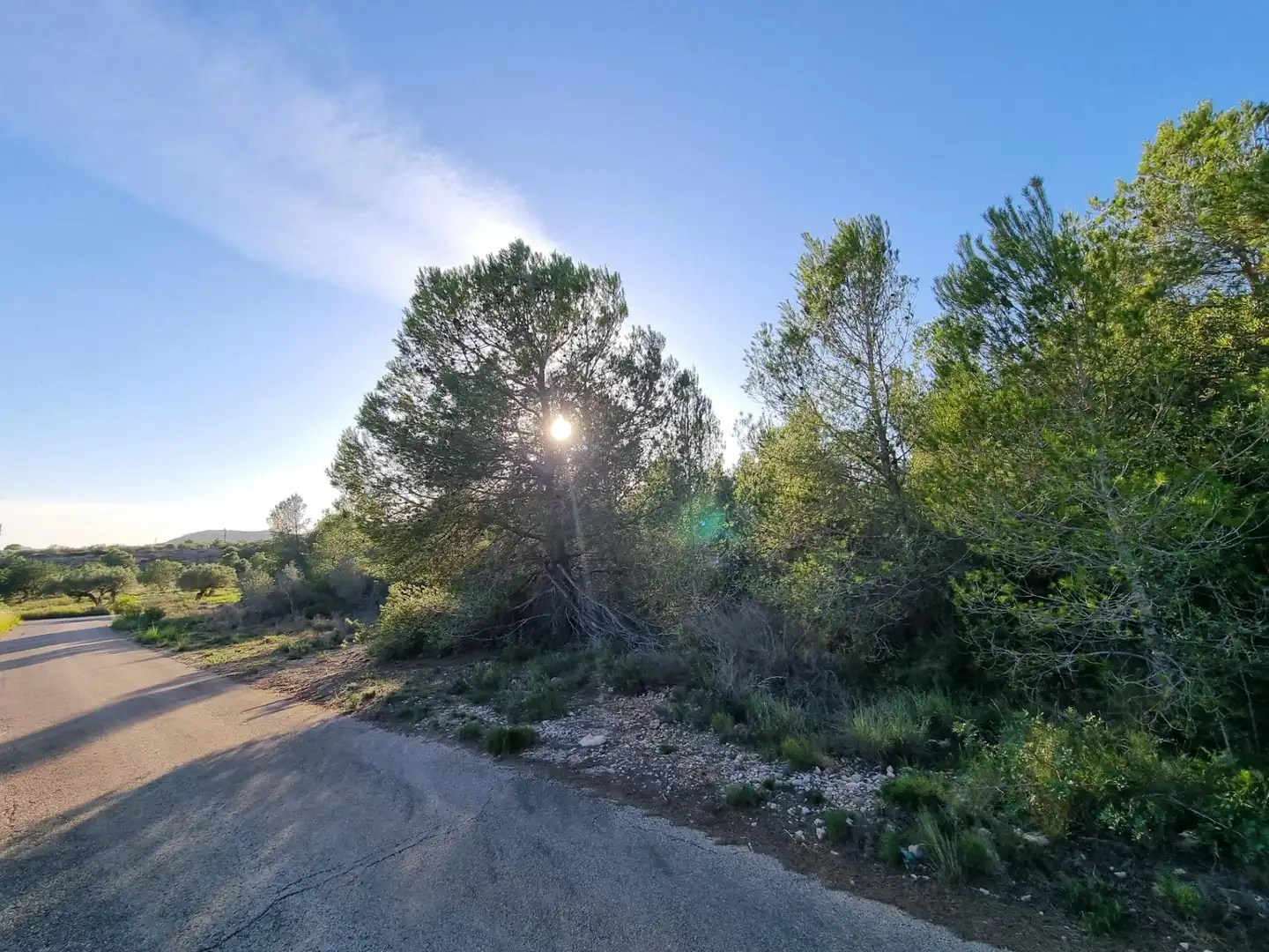 Terreno rústico en venta en Avenida Camí de l'Ametlla de Mar al Perelló