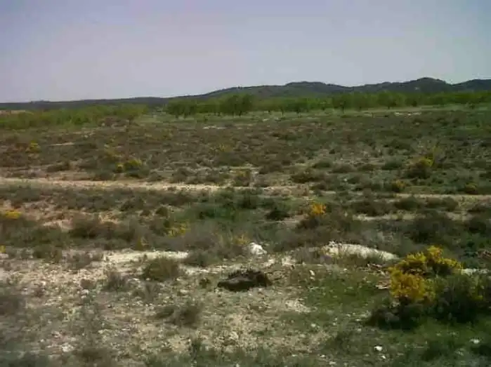 Terreny rústic en venda a Caravaca de la Cruz, imagen 6