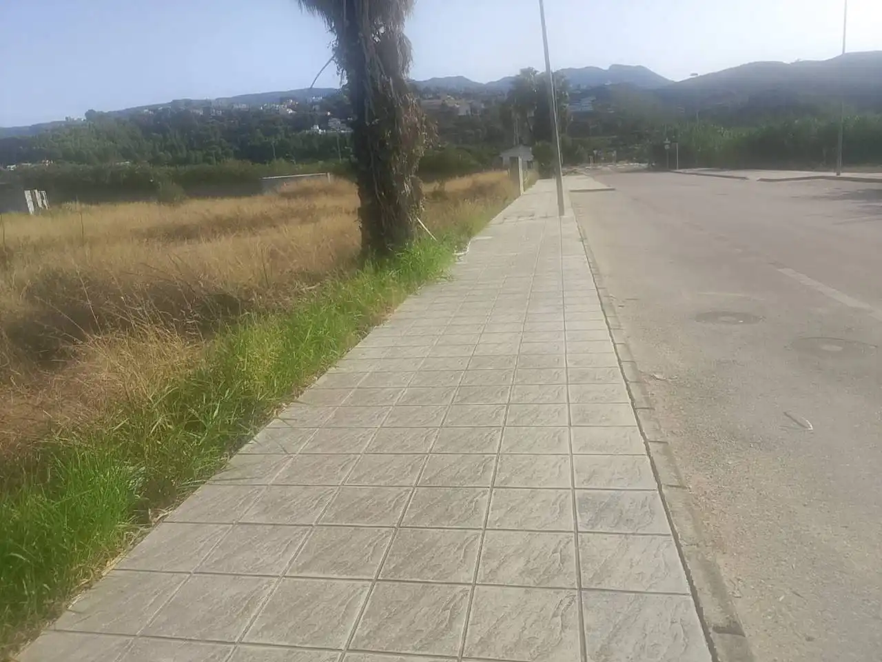 Industrial land for sale in Ador