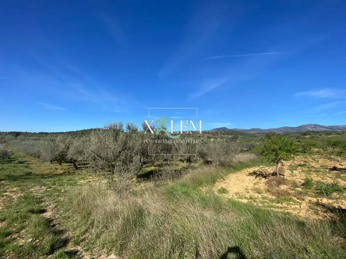 Houses for sale in Vilanova d'Alcolea  with Terrace and Storage room