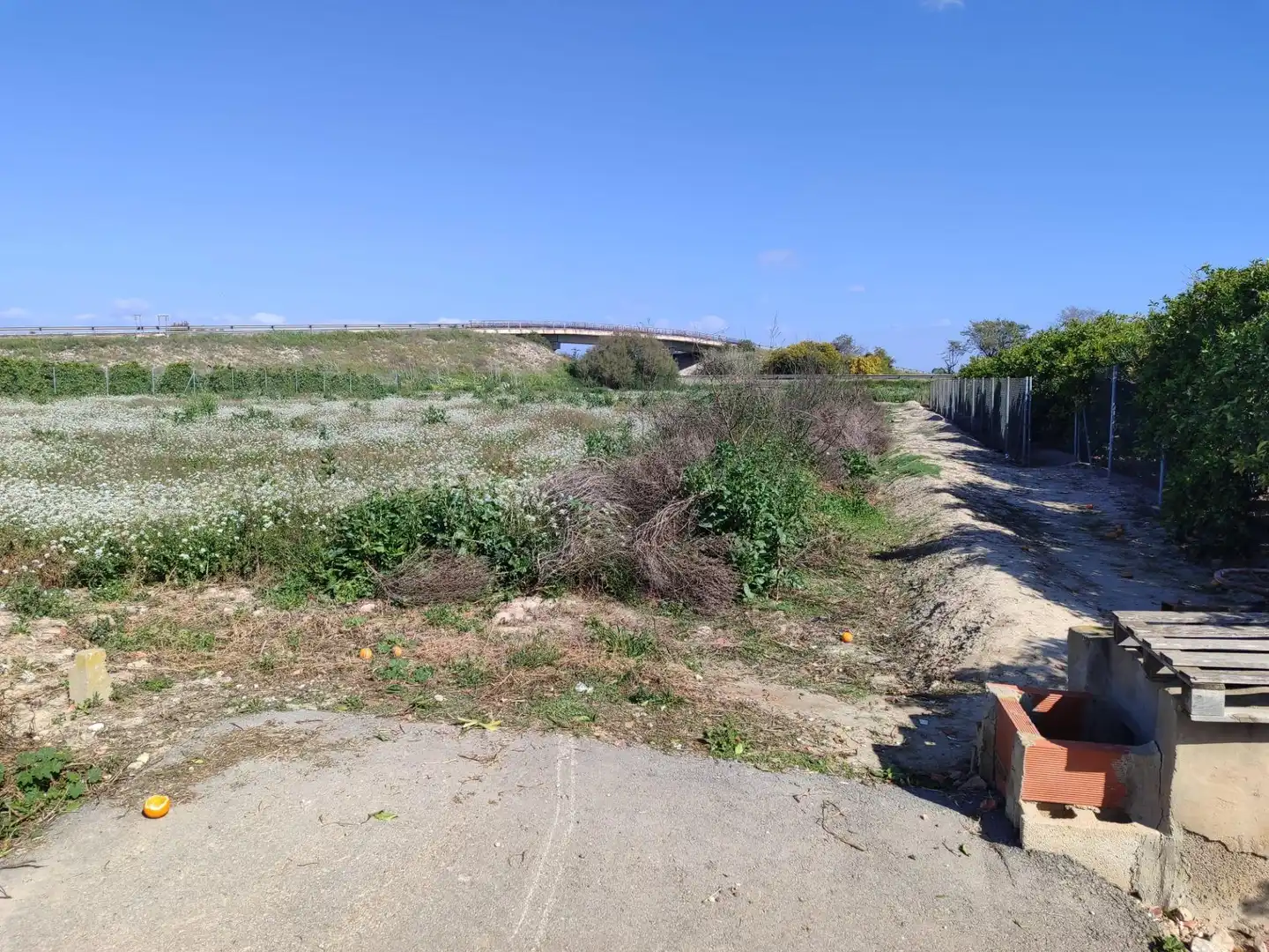 Terreno rústico en venta en Formentera del Segura