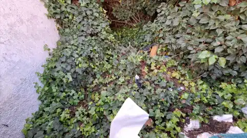 Terreno residenziale in vendita a Calle Barrio de Arriba 17, imagen 4
