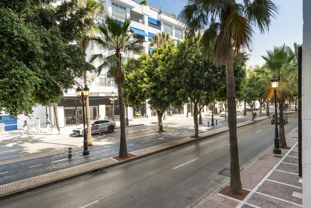 Vista exterior de Apartament en venda en Marbella