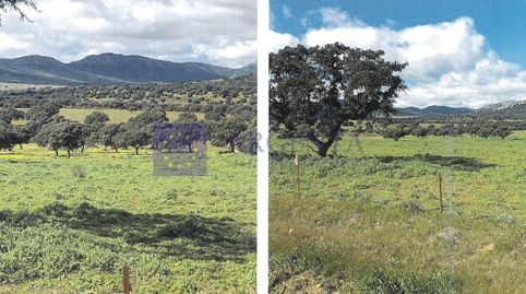 SE VENDE FINCA GANADERA Y AGRICOLA