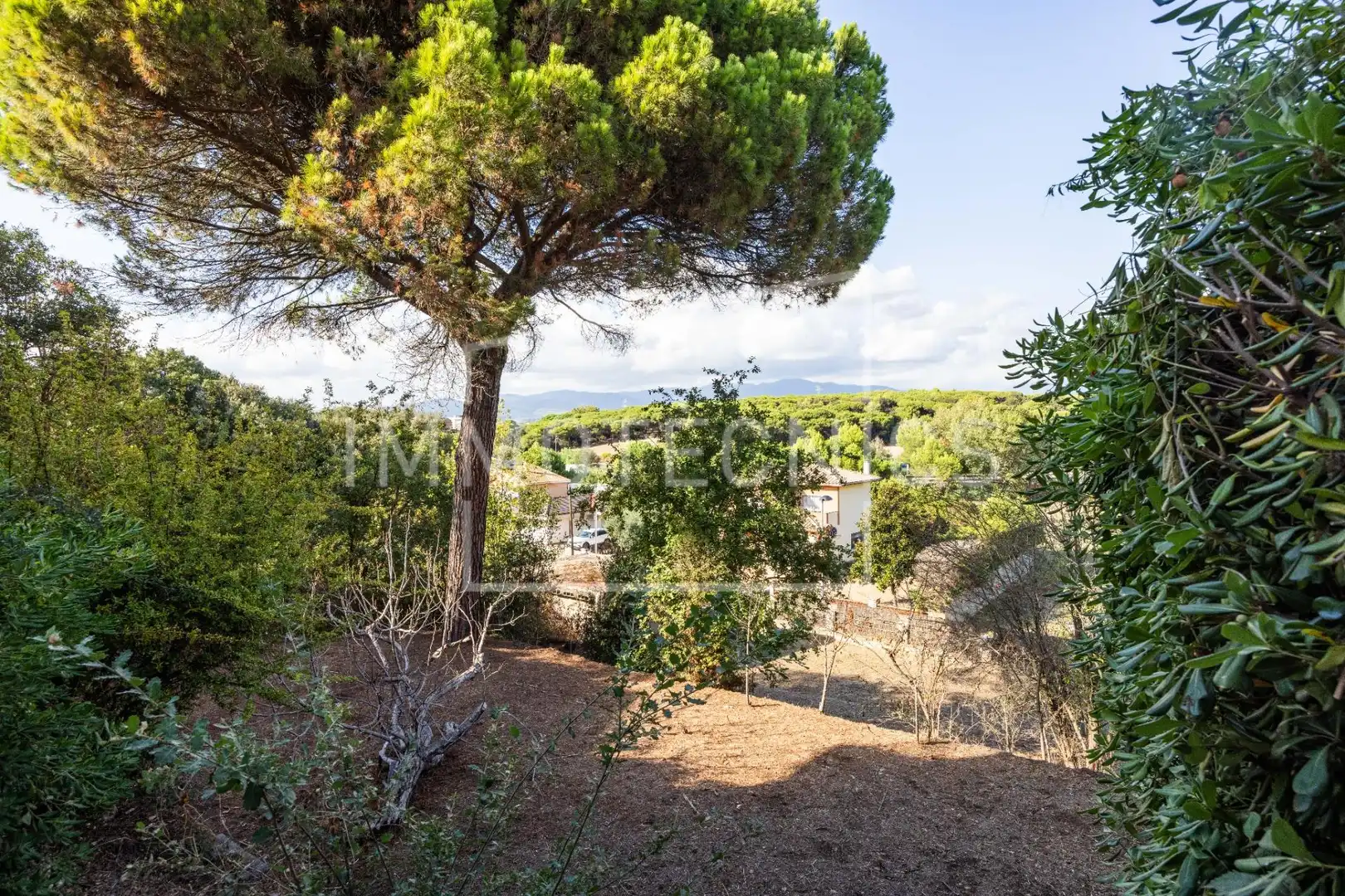 Casa amb terrassa en venda a Carrer ORENETA, imagen 9