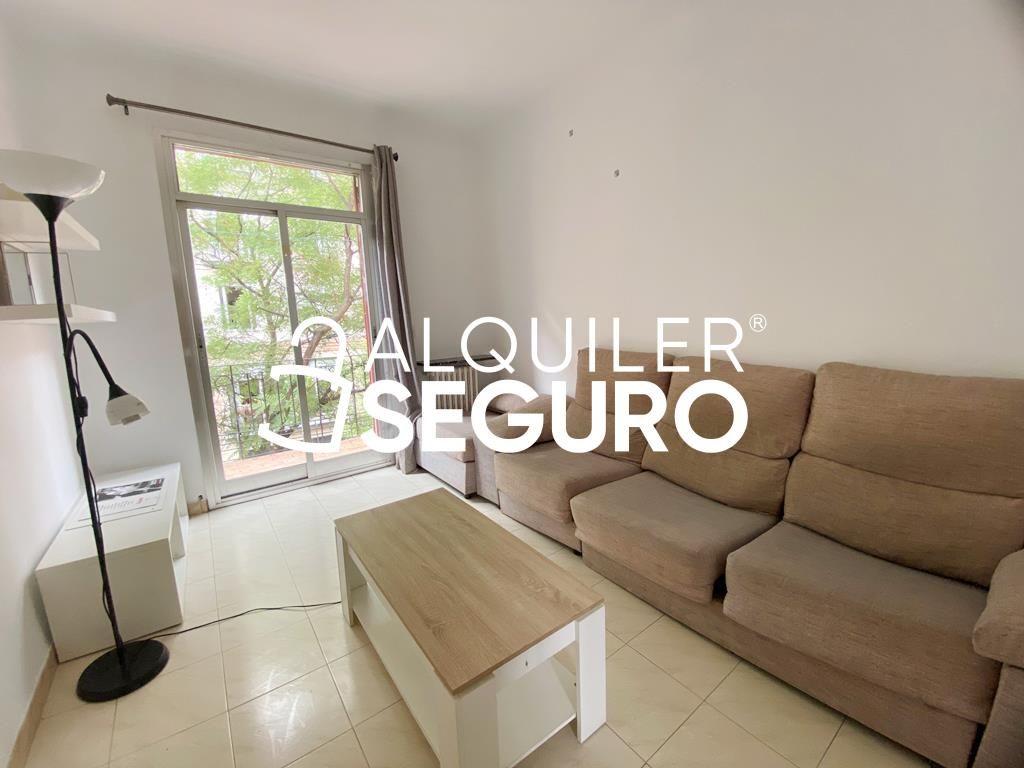 Living room of Flat to rent in  Madrid Capital  with Heating and Furnished