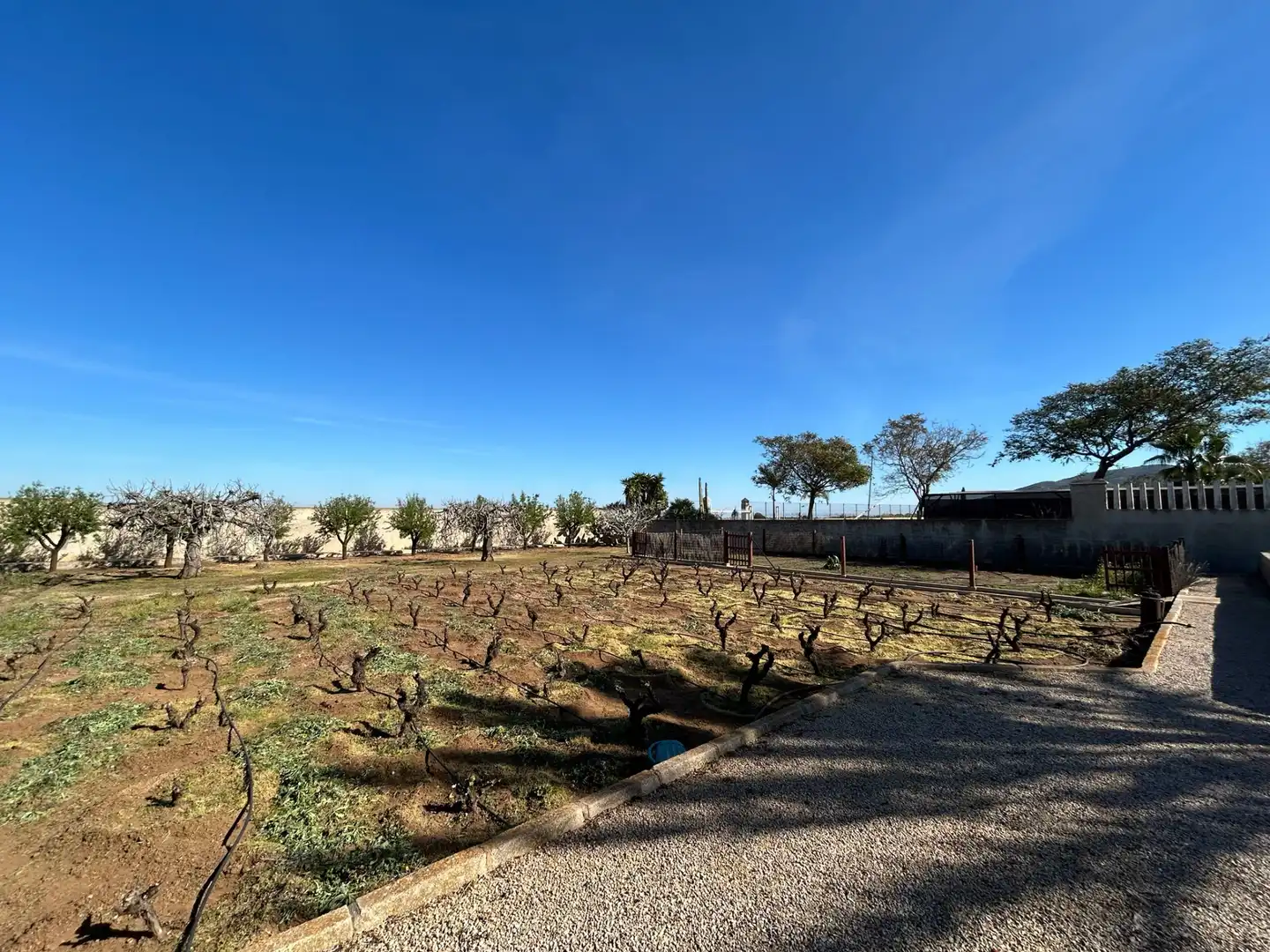 Vista exterior de Finca rústica en venta en Cartagena con Jardín privado, Terraza y Trastero