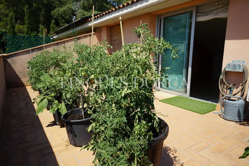 Casa adosada en venta en Cabrils