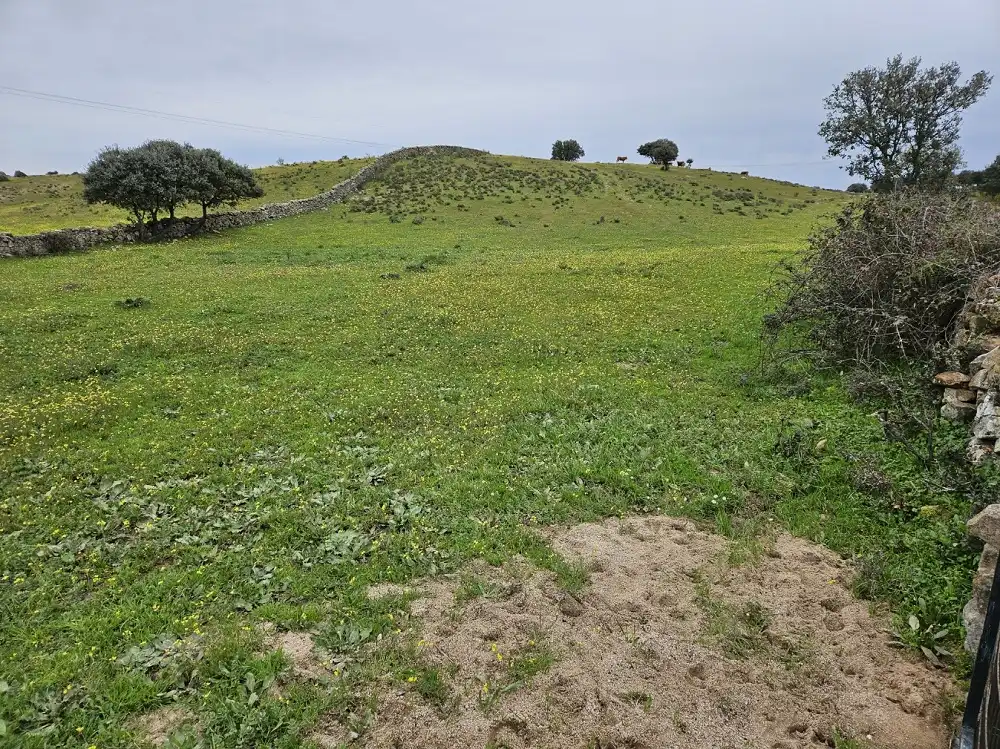 Terreni e lotti in vendita a Navas del Madroño