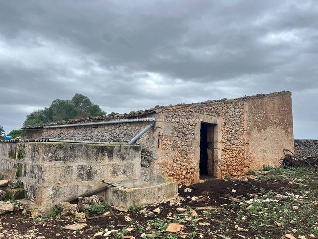 Terreno residencial en Venta en Ariany