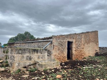 Terreni e lotti in vendita a Ariany