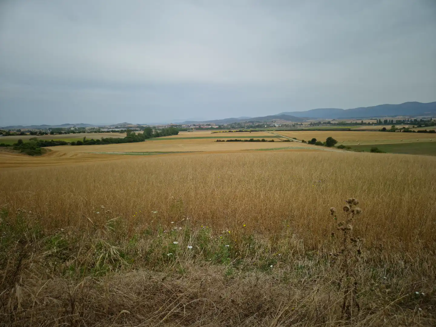 Terreny rústic en venda a San Millán / Donemiliaga, imagen 2