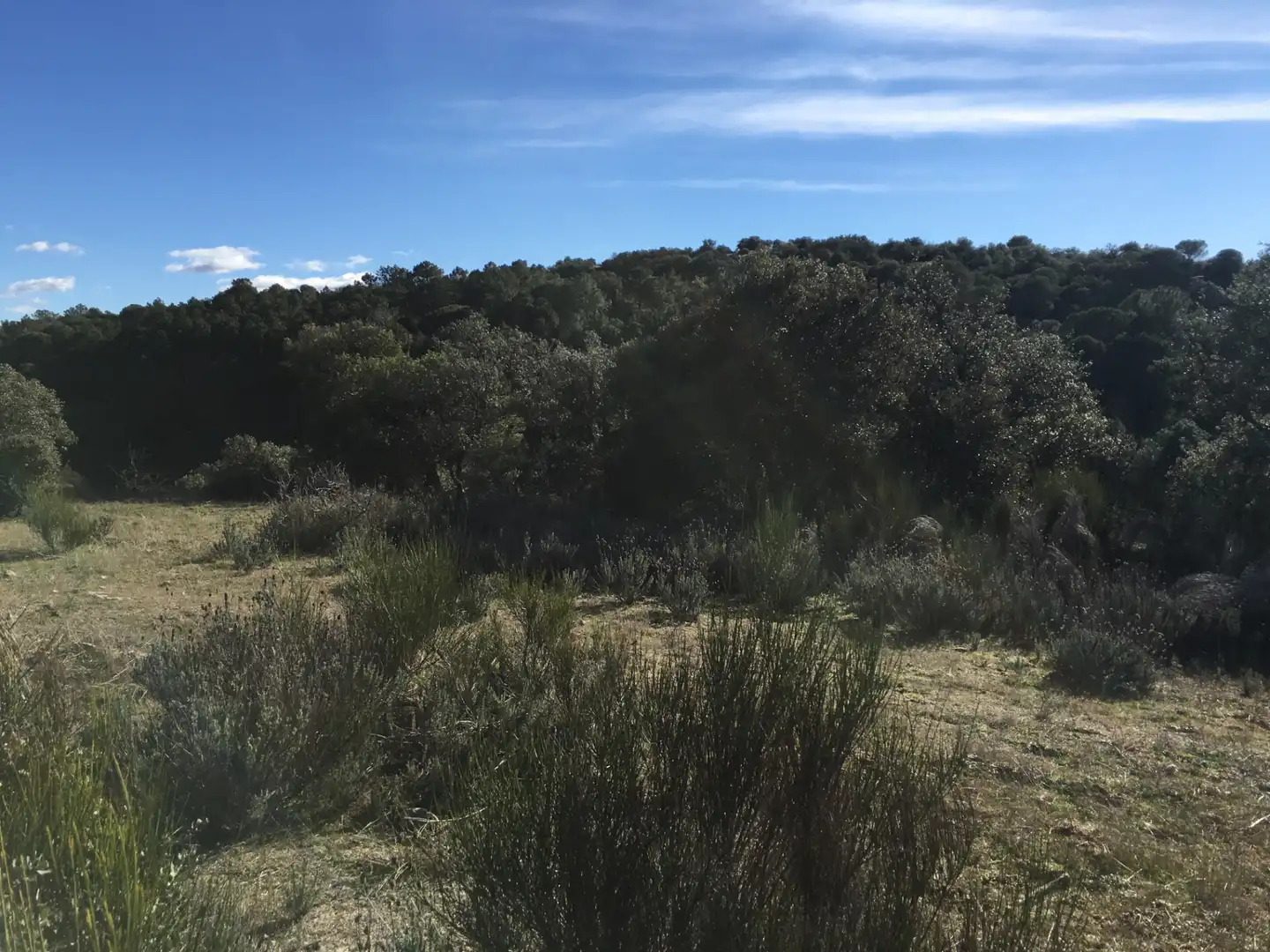 Rural land for sale in Cadalso de los Vidrios, imagen 19