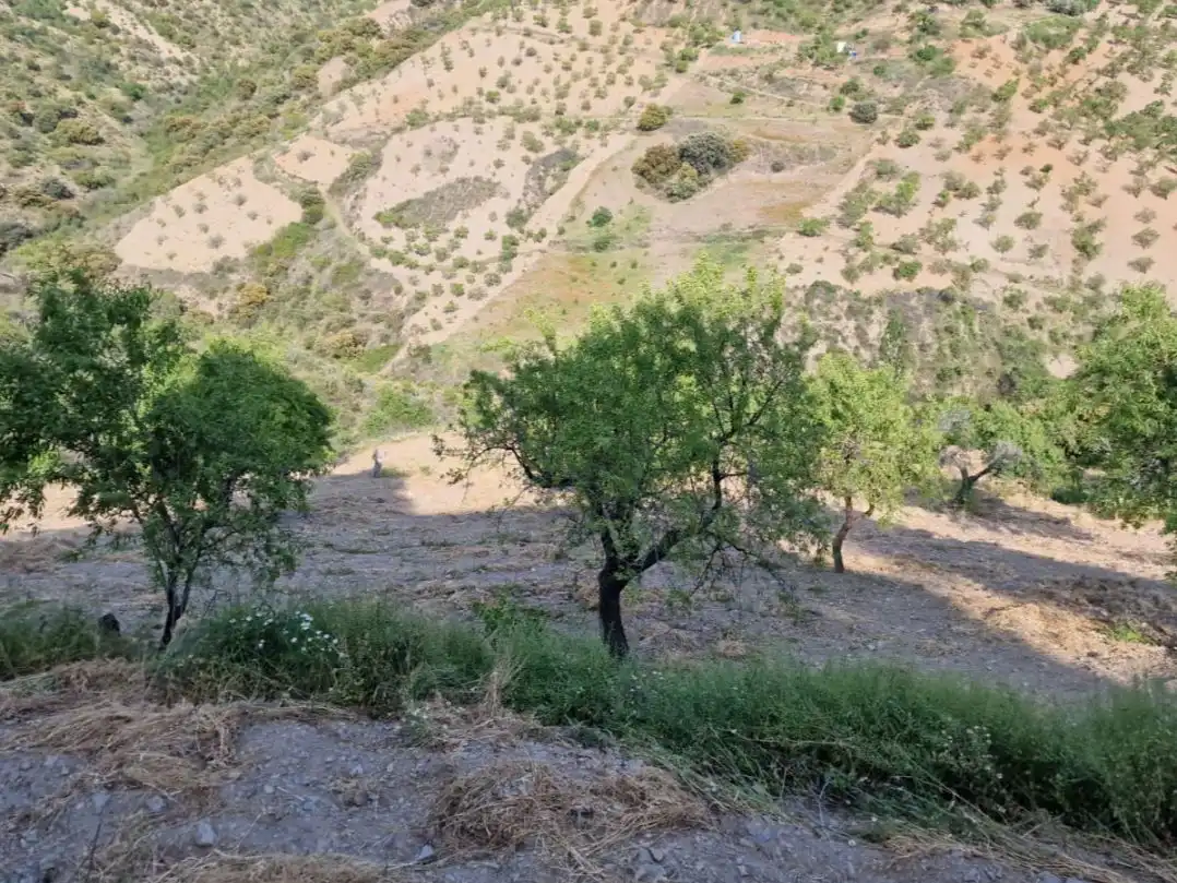 Land for sale in Cástaras