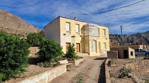 Finca de 12.441 m2 en Raiguero de Bonanza, pedanía de Orihuela Alicante, imatge 3