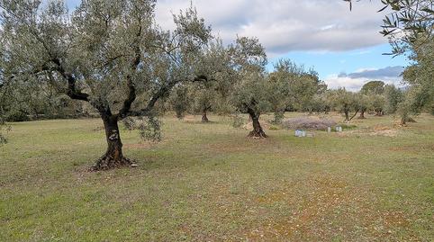 Photo 4 of Country house for sale in La Miliana, Ulldecona, Tarragona
