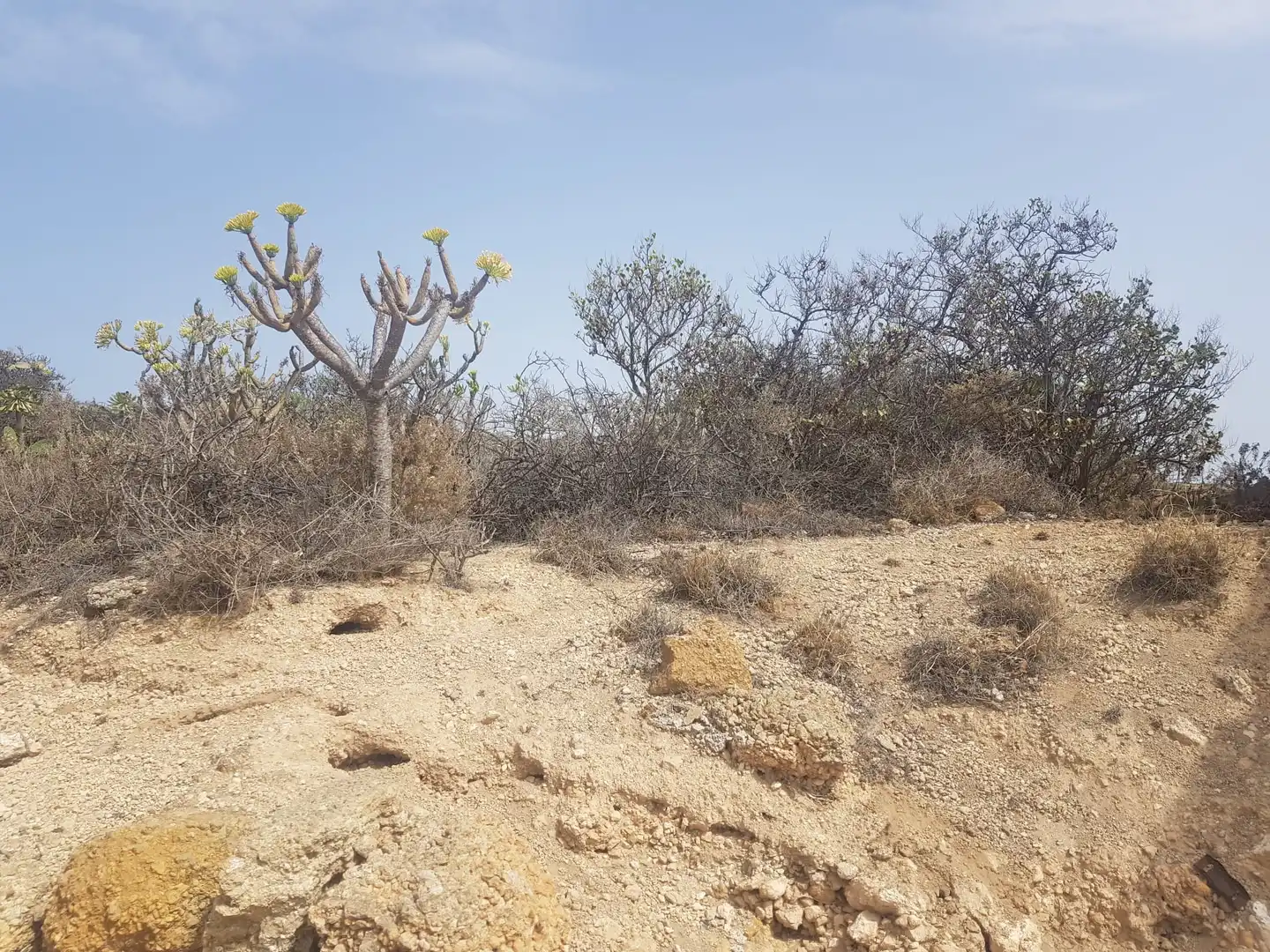 Rural land for sale in Calle Tambora de Abajo 44, imagen 16