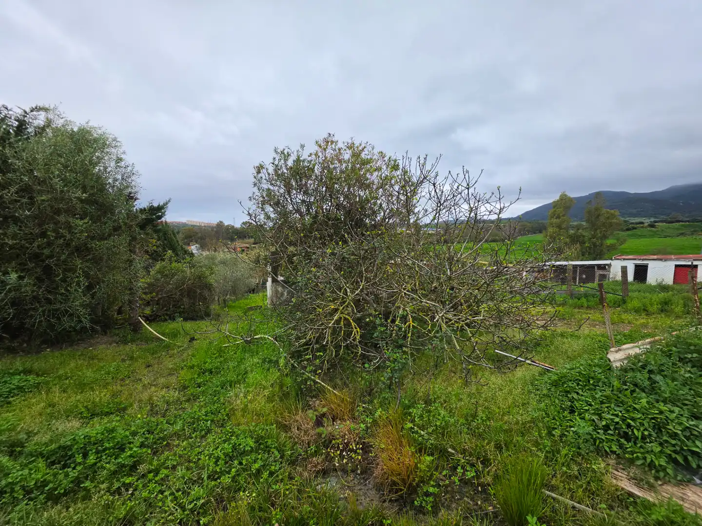 Terreni e lotti in vendita a La Granja - La Colina - Los Pastores, imagen 16